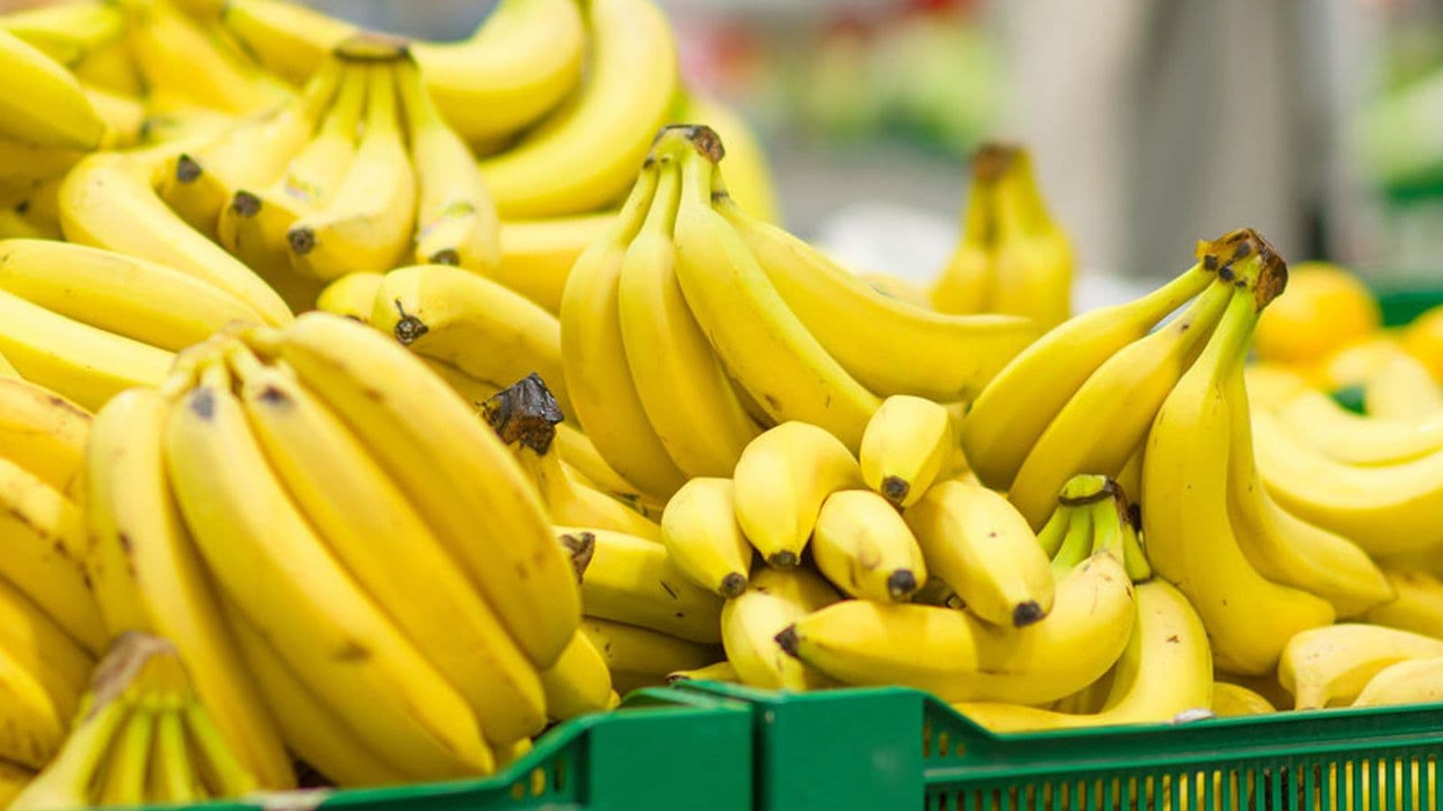 ¿Frutas en la nevera? Los plátanos mejor que no. SAIA lo explica en ‘La Vanguardia’