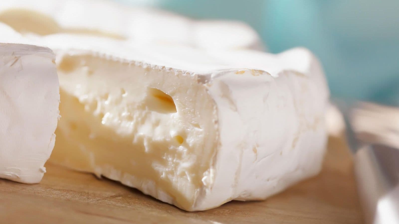 ¿Qué es la bacteria «Listeria»?: SAIA lo cuenta en el ‘Diari Ara’
