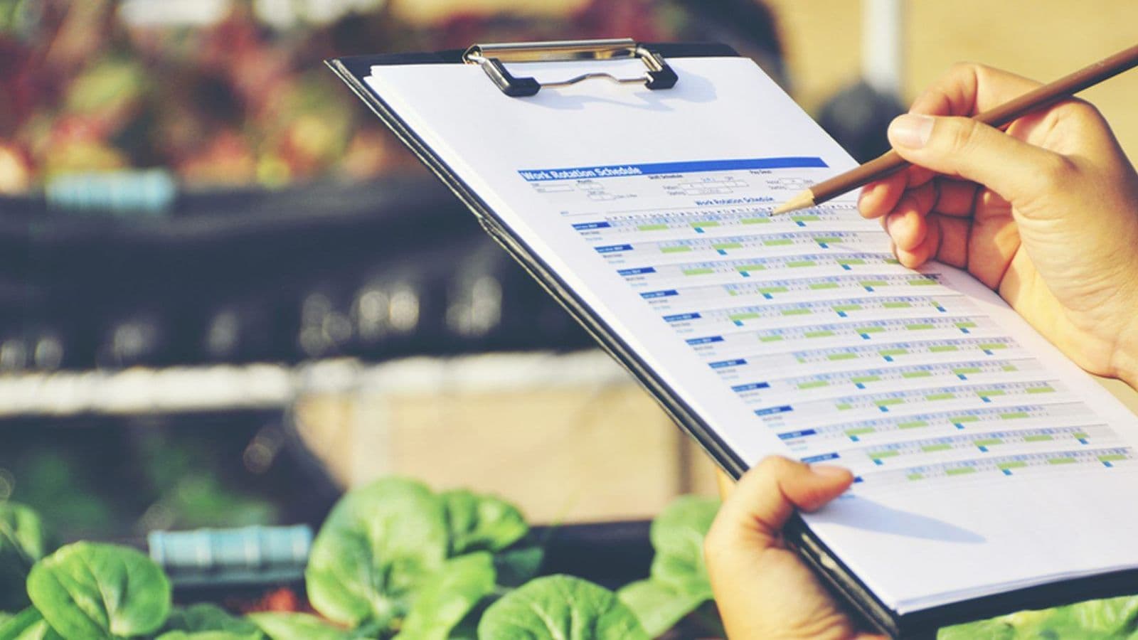 Legislación Alimentaria: Principios, Objetivos y Normativas Esenciales para tu Negocio