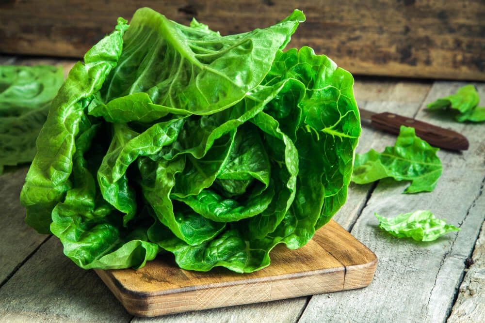 Mantener la lechuga fresca: SAIA nos cuenta en ‘RAC1’