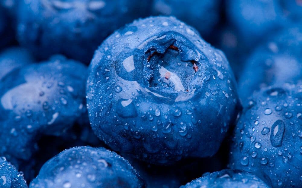 Qué debe cumplir tu restaurante en seguridad alimentaria: SAIA lo cuenta en ‘Foodix’