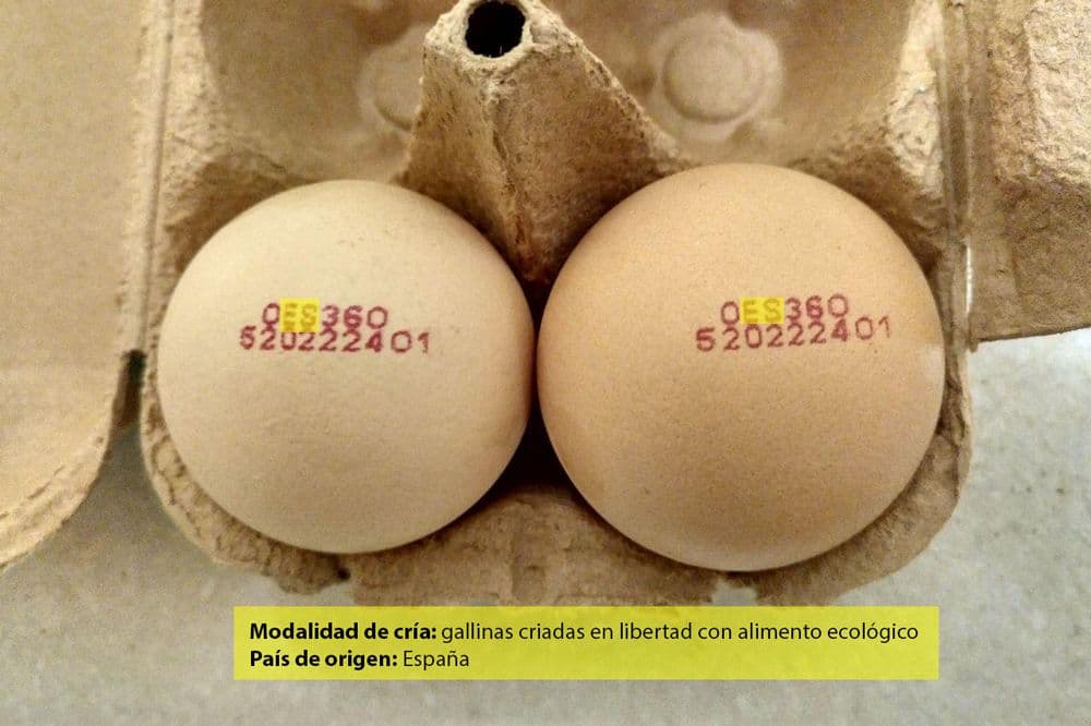 El código de los huevos: cómo te ayuda a elegirlos