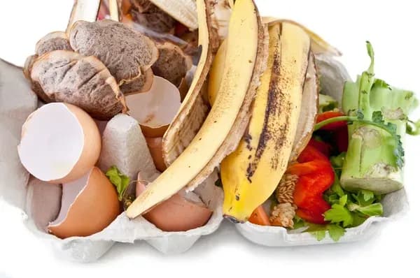 Nueva ley estatal contra el desperdicio alimentario: ¿cómo se compara con la pionera ley catalana 3/2020?